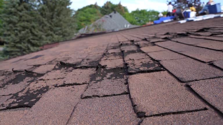 Best Metal Roofing Installation  in Mino, CA