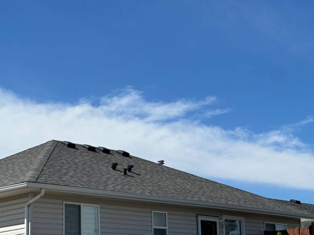 Best Roofing for New Construction  in Mino, CA